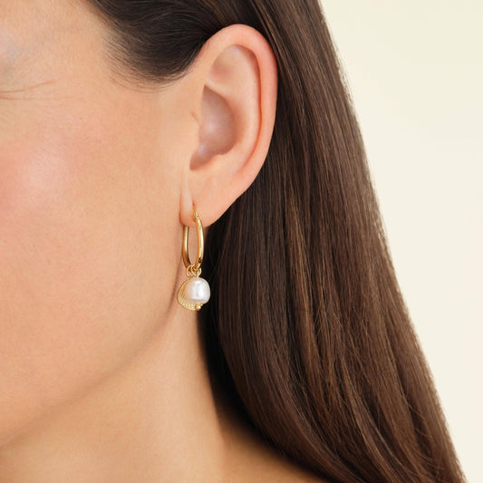 ROSEFIELD Ohrringe Creole Muschel mit Perle Gold