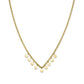 ROSEFIELD Kette TOC Necklace Multi micro coins Baxter Gold JTNMG-J444