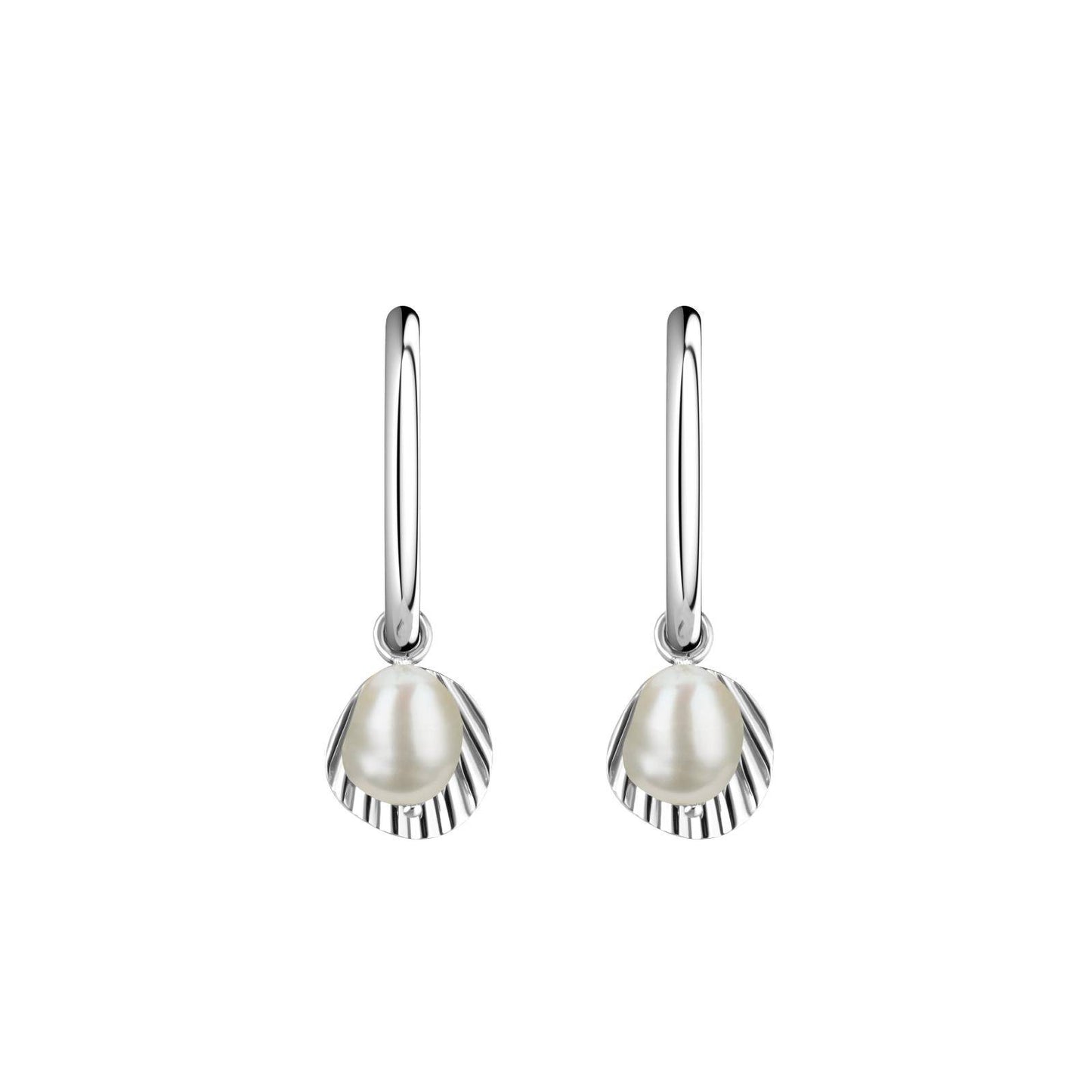 ROSEFIELD Earrings Creole Shell with Pearl Silver JSPCES-J174