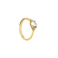 ROSEFIELD Ring  Gold JRVO56G-J780