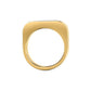 Karl Lagerfeld Damen Ring CHAINS Gold